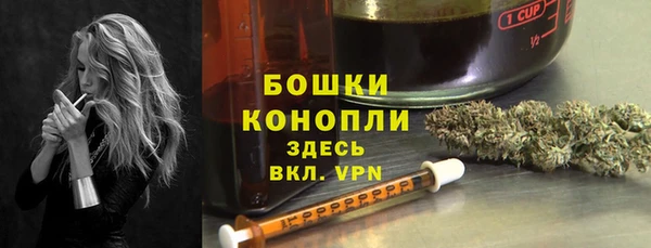 дурь Магас