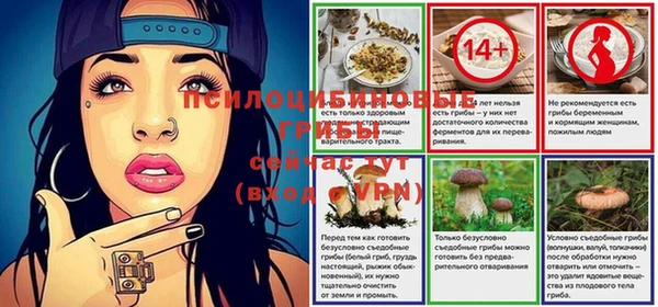 мет Медвежьегорск