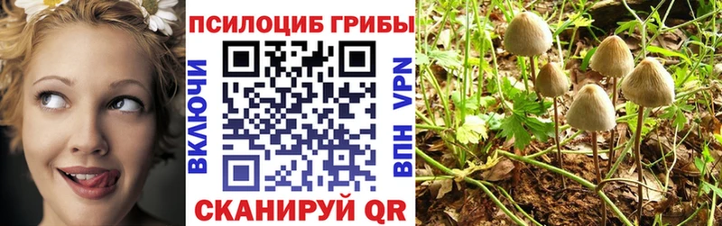 Галлюциногенные грибы Cubensis Оренбург