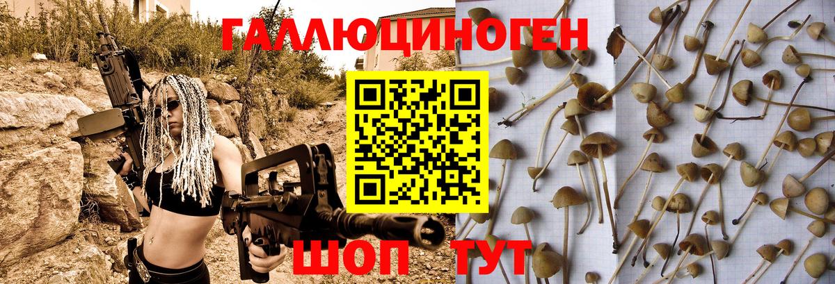 Псилоцибиновые грибы GOLDEN TEACHER Оренбург