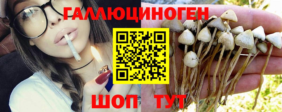 Оренбург  Псилоцибиновые грибы MAGIC MUSHROOMS  Вход с VPN 